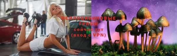 сатива Армянск