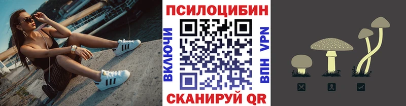 дарнет шоп  Сосновый Бор  кракен маркетплейс  Галлюциногенные грибы мухоморы 